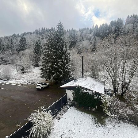 Studio Chalet Cosy Gérardmer Exterior foto